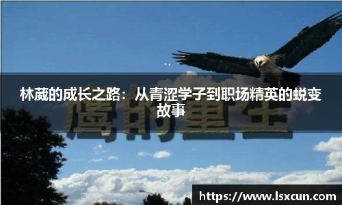 WE真人视讯官网